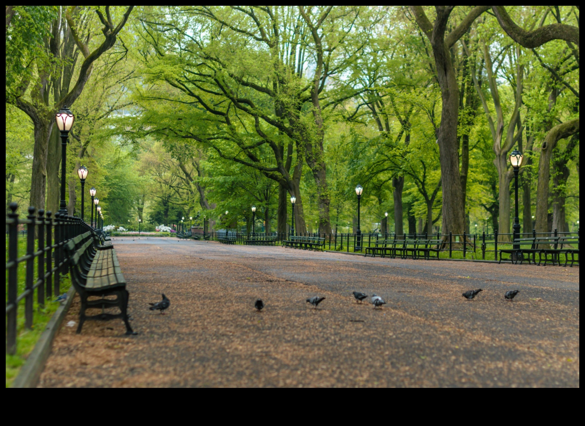 Πάρκα και Κήποι: Όαση Πρασίνου σε Αστικά Τοπία