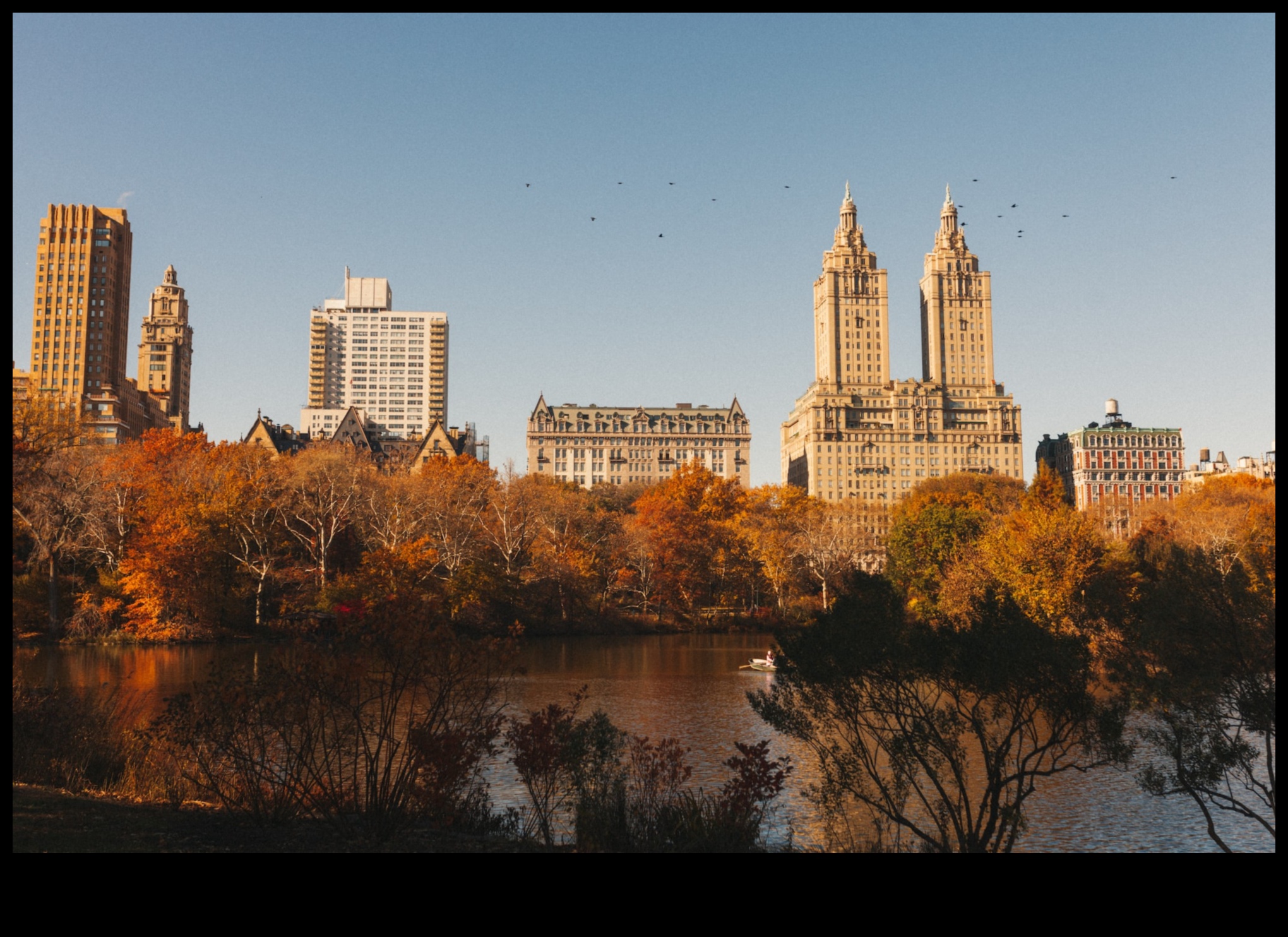 Πάρκα και Κήποι: Όαση Πρασίνου σε Αστικά Τοπία