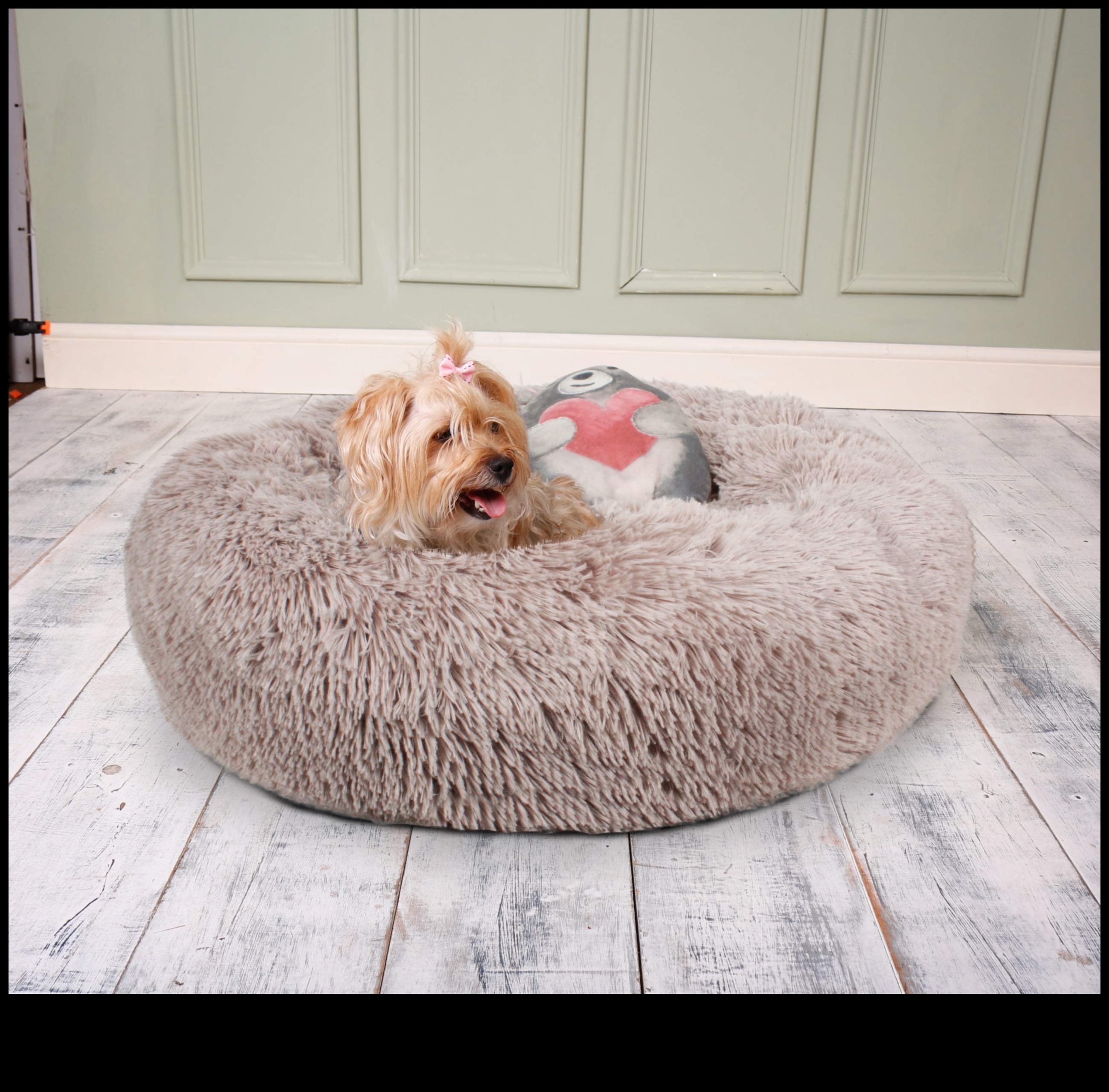 Δώρα DIY για λάτρεις των ζώων: Δώρα με επίκεντρο τα κατοικίδια