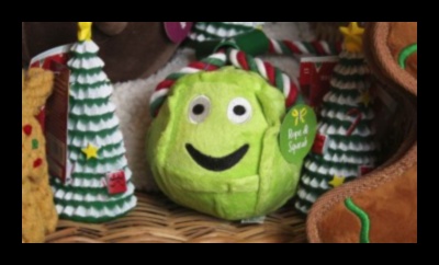 Δώρα DIY για λάτρεις των ζώων: Δώρα με επίκεντρο τα κατοικίδια