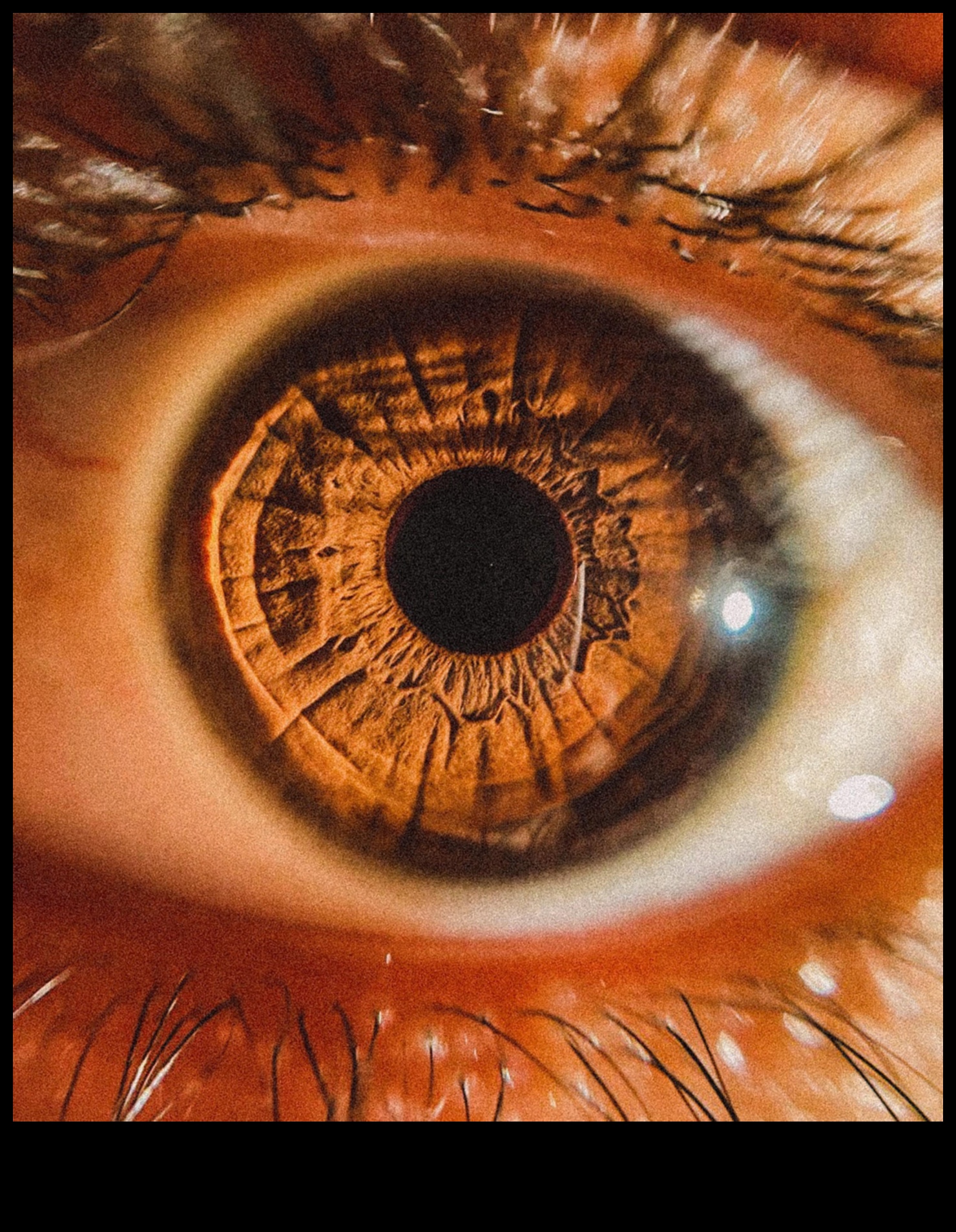 Οι περίπλοκες λεπτομέρειες αποκαλύφθηκαν Ένας οδηγός για να κατακτήσετε την τέχνη της μακρο φωτογραφίας 3 Αποκαλύφθηκαν περίπλοκες λεπτομέρειες: Mastering the Art of Macro Photography