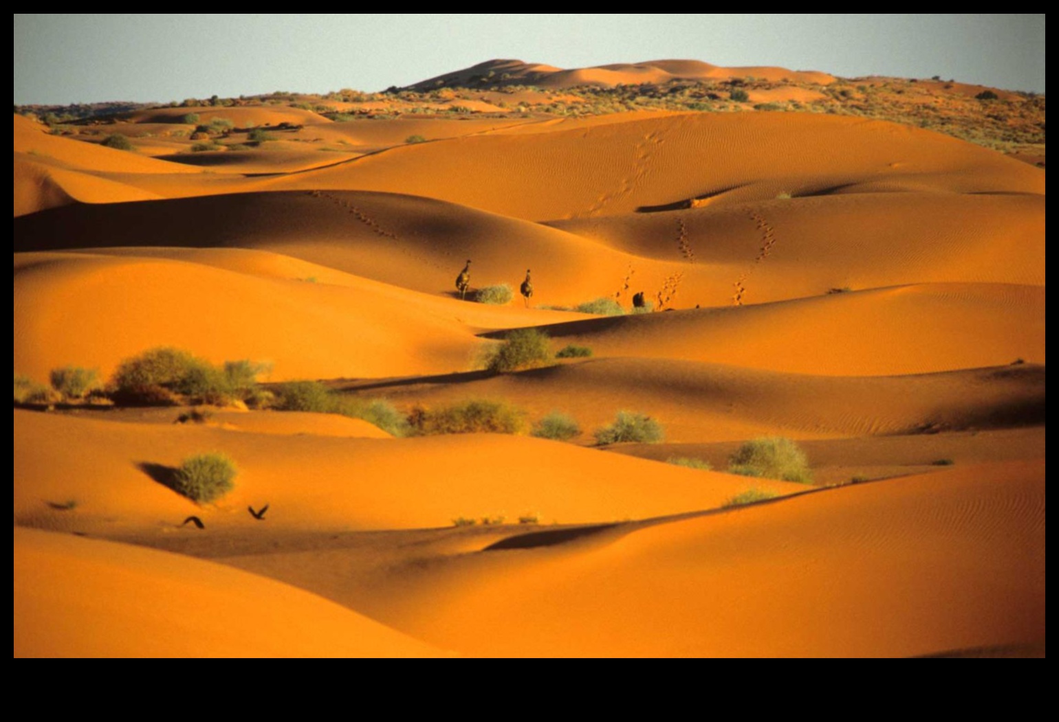 Έρημοι Ένα απέραντο και ποικίλο τοπίο 2 Η γοητεία των τοπίων της ερήμου
