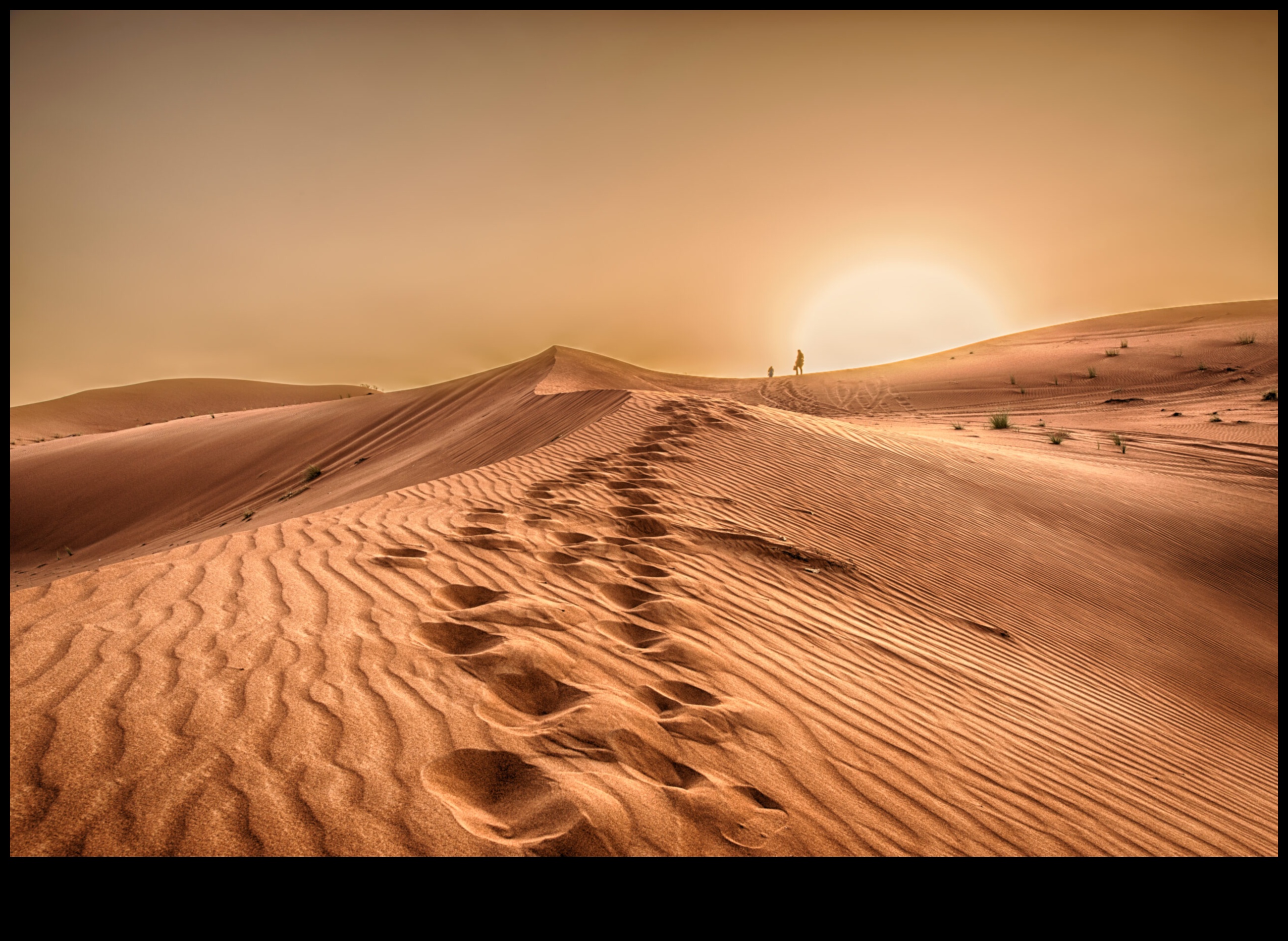 Έρημοι Ένα απέραντο και ποικίλο τοπίο 4 Η γοητεία των τοπίων της ερήμου