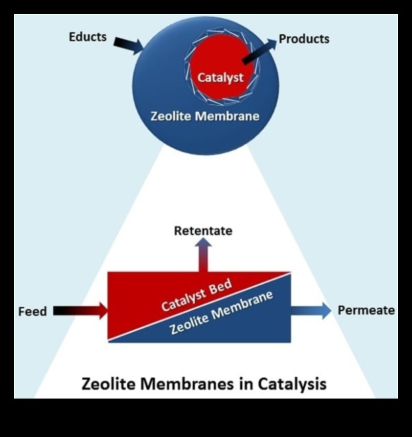 Συνδετικός δεσμός ανάφλεξης καταλύτη στην ψηφιακή εποχή Συνδετικός δεσμός ανάφλεξης καταλύτη στην ψηφιακή εποχή Συνδετικός δεσμός ανάφλεξης καταλύτη στην ψηφιακή εποχή 4 Συνδετικός καταλύτης: Ανάφλεξη δεσμών στην ψηφιακή εποχή