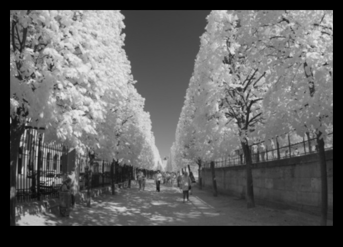 Υπέρυθρος φωτισμός Πώς να τραβήξετε φωτογραφίες από τον άλλον κόσμο 3 Υπέρυθρος φωτισμός: Τεχνικές για τη φωτογραφία του άλλου κόσμου