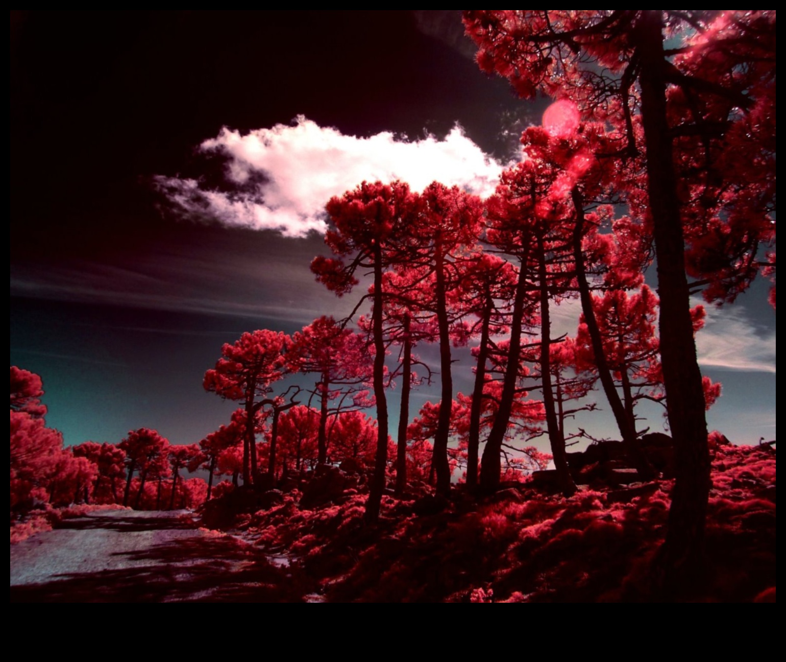 Υπέρυθρος φωτισμός Πώς να τραβήξετε φωτογραφίες του άλλου κόσμου 2 Υπέρυθρος φωτισμός: Τεχνικές για τη φωτογραφία του άλλου κόσμου