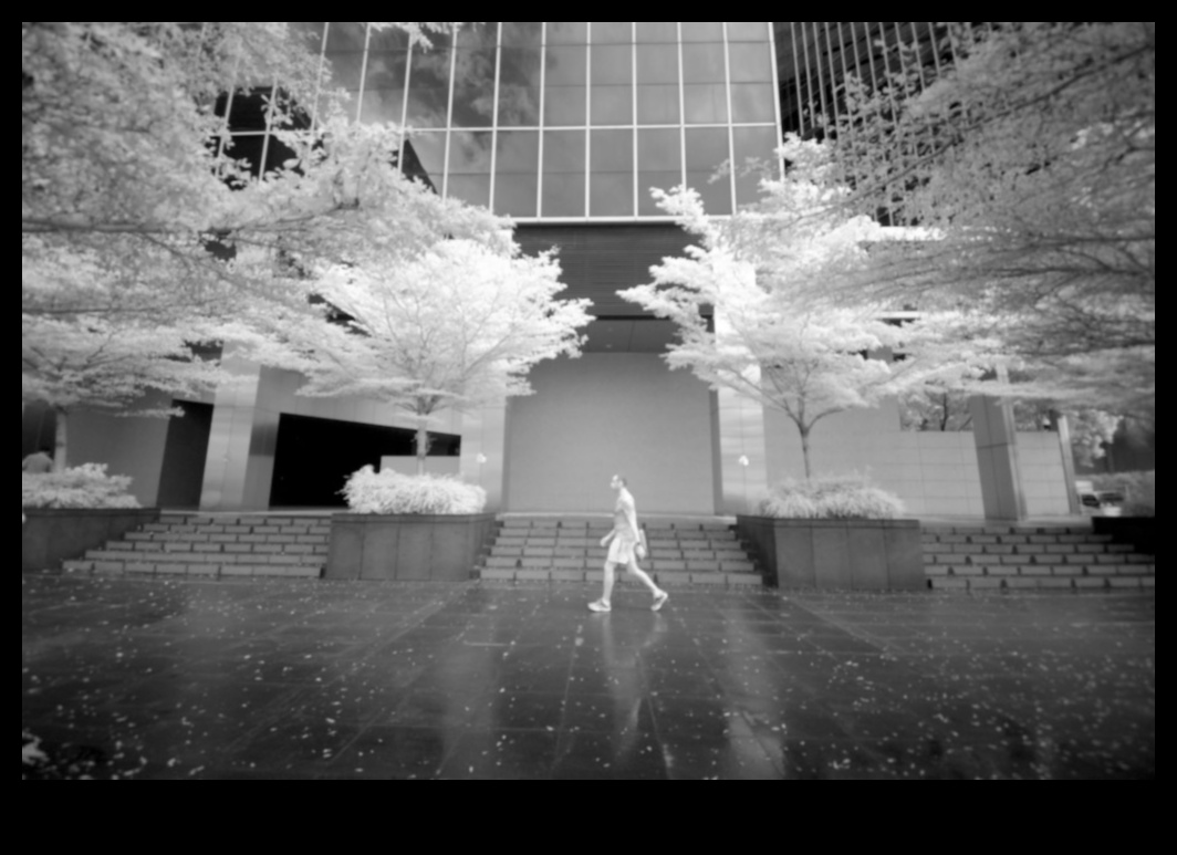 Υπέρυθρος φωτισμός Πώς να τραβήξετε φωτογραφίες από τον άλλον κόσμο 5 Υπέρυθρος φωτισμός: Τεχνικές για τη φωτογραφία του άλλου κόσμου