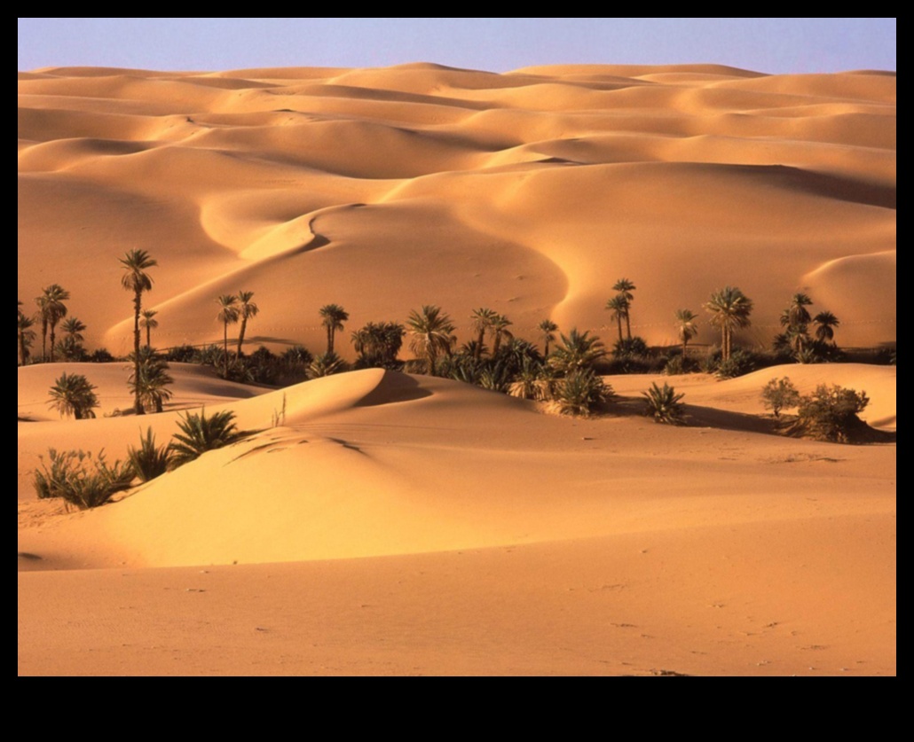 Deserts Reimagined: Finding Beauty in Arid Landscapes Ξανά