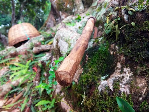 Ένα ονειρικό τοπίο ενός δάσους με ένα ελικοειδή ποτάμι