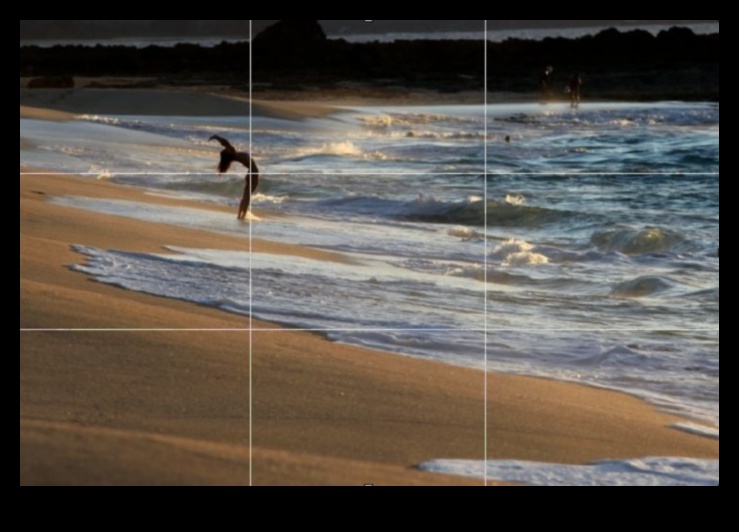 Visual Virtuoso: Transforming Ordinary Shots σε Extraordinary Art