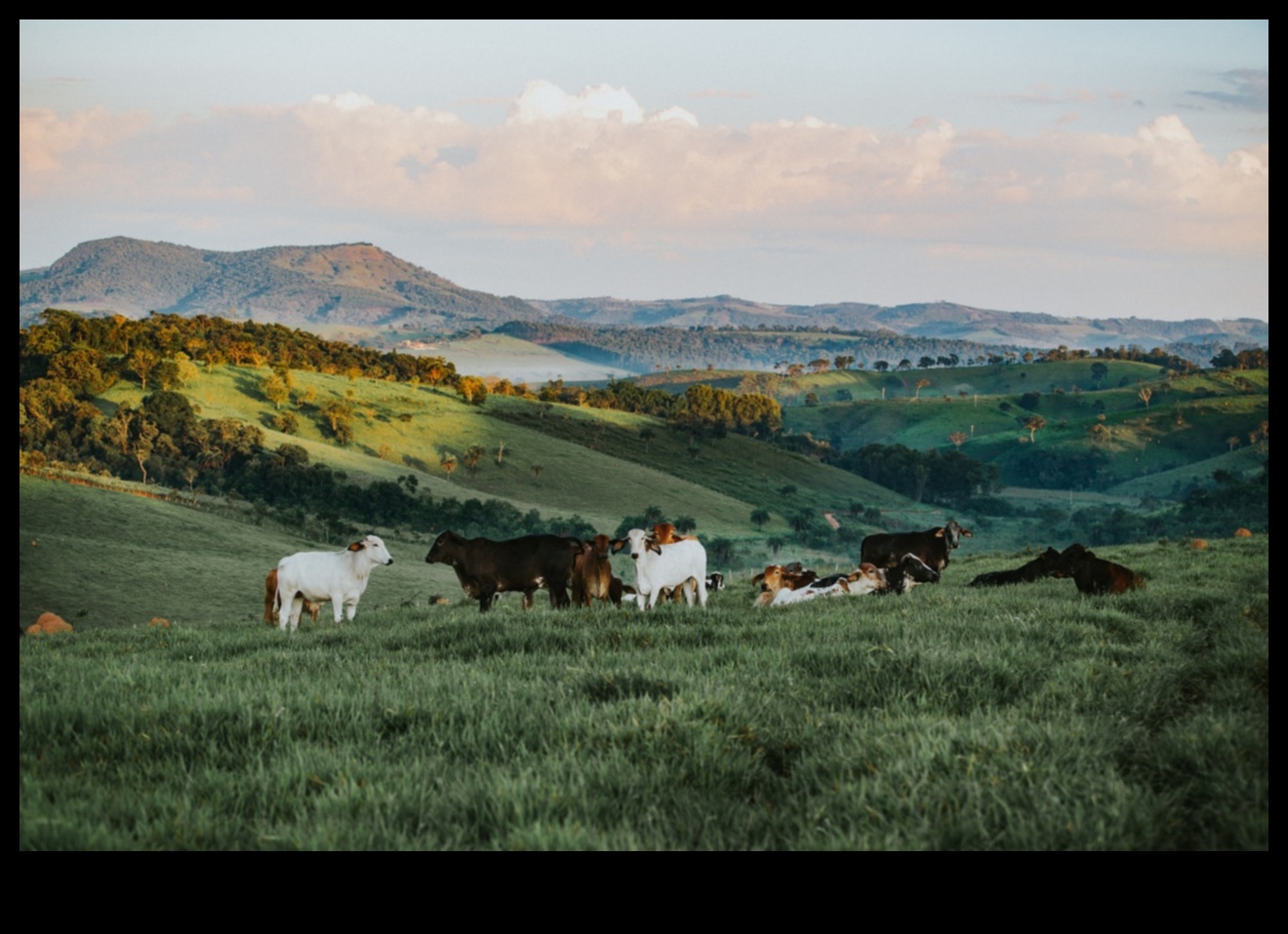 Η βιοποικιλότητα στο τοπίο 3 Πώς συμβάλλουν διαφορετικά οικοσυστήματα στη βιοποικιλότητα των τοπίων;