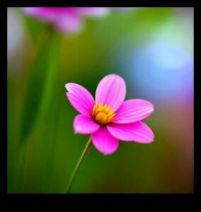 Bokeh Bliss: Pro Techniques για την επίτευξη ονειρικών υποβάθρων
