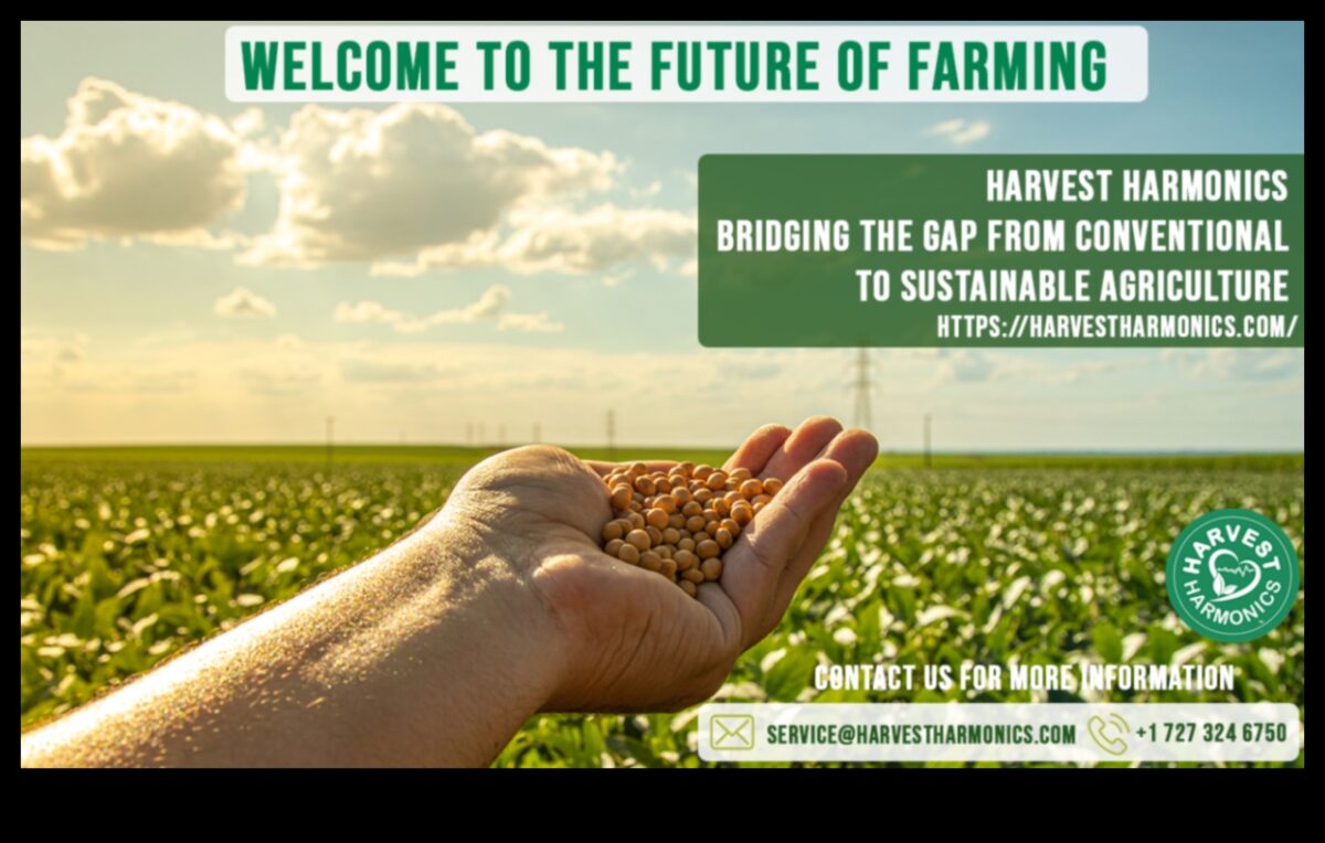 Harvest Harmony III: Συνεχίζοντας εκ νέου τον εορτασμό της ομορφιάς της αγροτικής γης