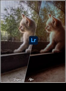 Visual Virtuoso: Transforming Ordinary Shots σε Extraordinary Art