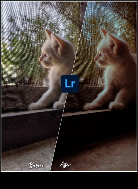 Visual Virtuoso: Transforming Ordinary Shots σε Extraordinary Art