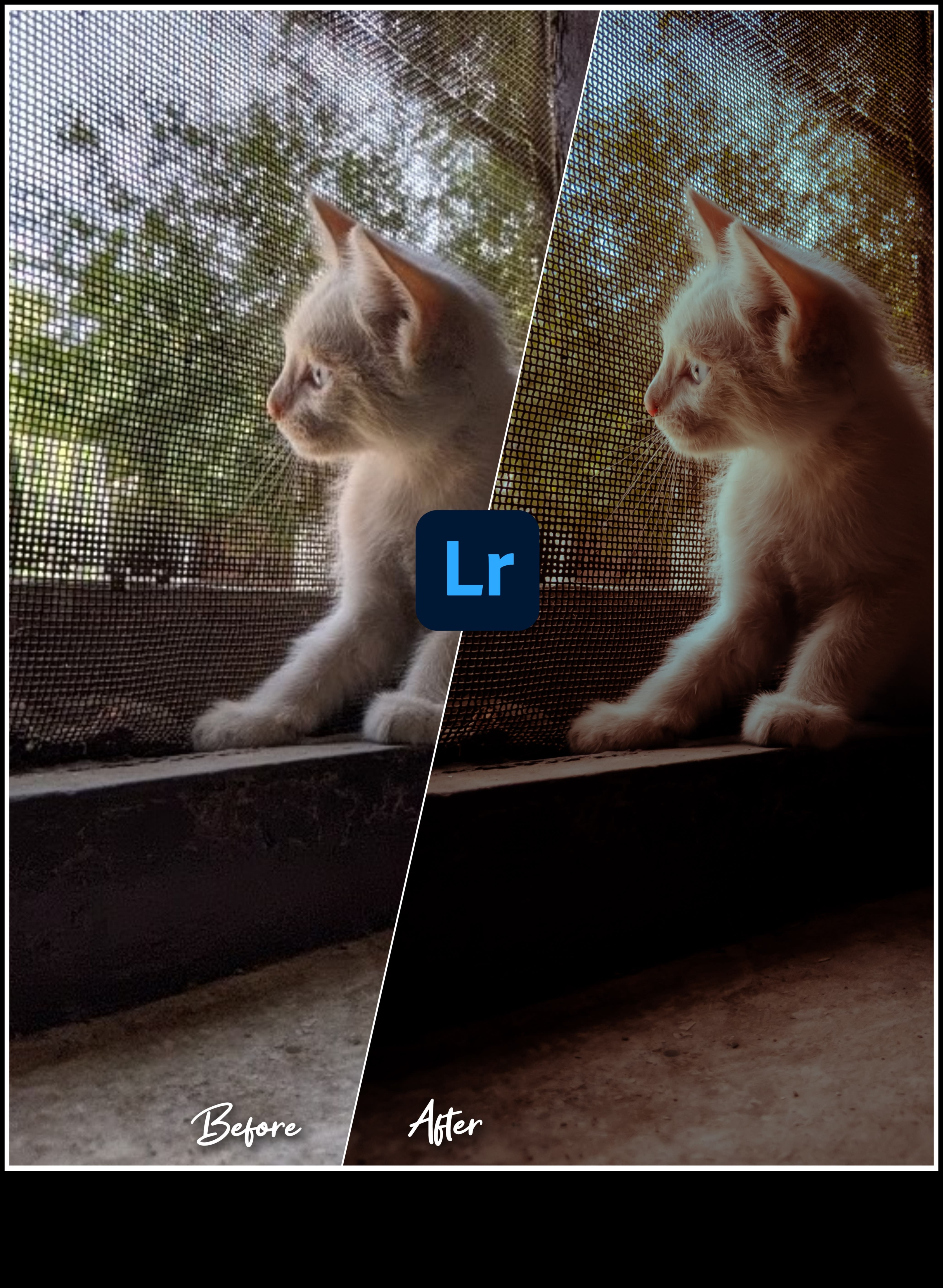 Visual Virtuoso: Transforming Ordinary Shots σε Extraordinary Art