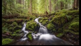 Ένα λεωφορείο ανατρέχοντας ηρεμία Συναρπαστικές σκηνές τοπίων 6 Ταξίδι στη Γαλήνη: Τοπίο που κόβει την ανάσα