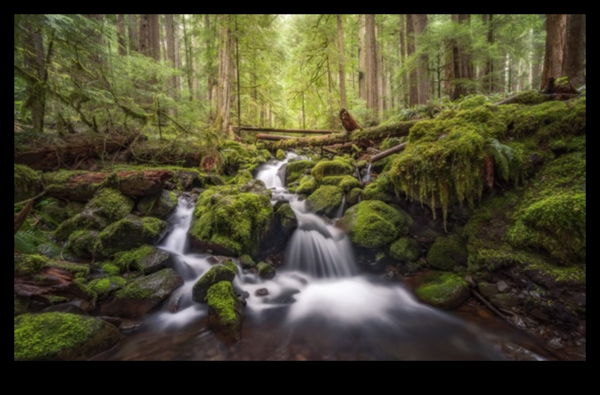 Ταξίδι στη Γαλήνη: Τοπίο που κόβει την ανάσα
