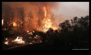 Γιατί ορισμένα τοπία είναι πιο ευάλωτα στις πυρκαγιές;
