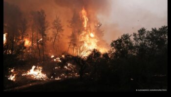 Γιατί ορισμένα τοπία είναι πιο ευάλωτα στις πυρκαγιές;