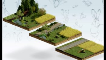 Πώς συμβάλλουν διαφορετικά οικοσυστήματα στη βιοποικιλότητα των τοπίων;