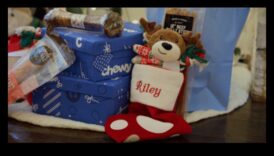 Δώρα DIY για λάτρεις των ζώων: Δώρα με επίκεντρο τα κατοικίδια