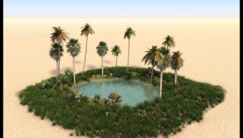 Deserts Reimagined: Finding Beauty in Arid Landscapes Ξανά