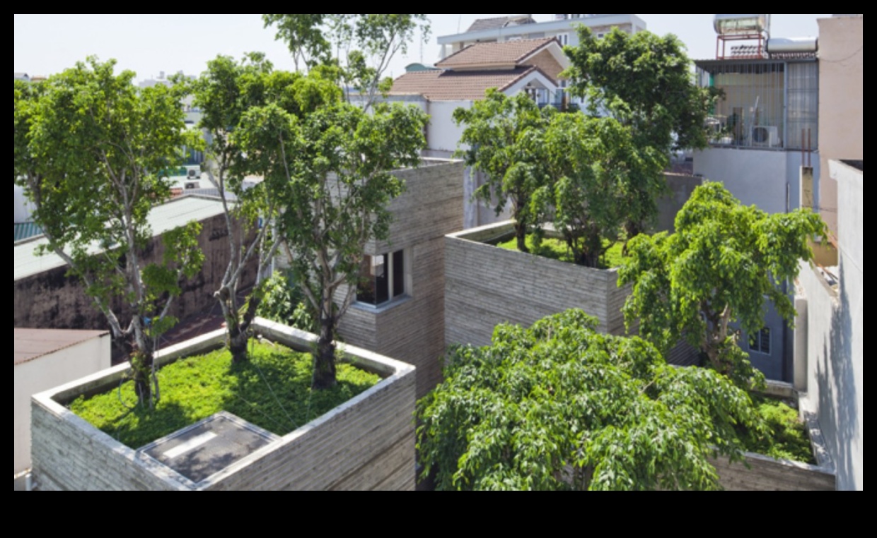 Πρασίνοντας την πόλη 1 Τι ρόλο παίζουν οι αστικοί χώροι πρασίνου στη βελτίωση των τοπίων της πόλης;