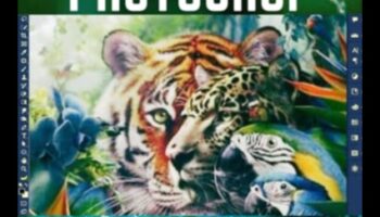 Digital Artistry: Απελευθερώνοντας τη Δημιουργικότητα στο Adobe Photoshop