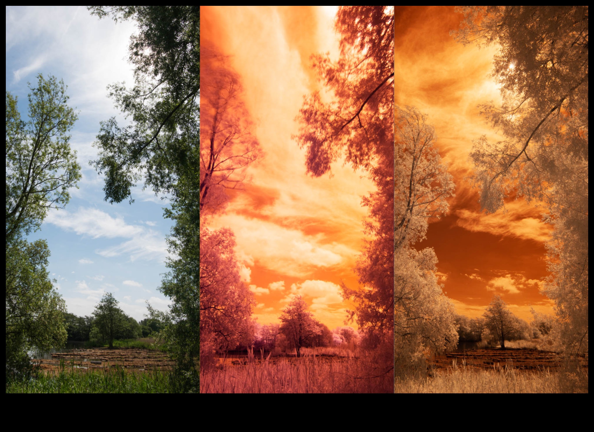 Υπέρυθρος φωτισμός Πώς να τραβήξετε φωτογραφίες από τον άλλον κόσμο 1 Υπέρυθρος φωτισμός: Τεχνικές για τη φωτογραφία του άλλου κόσμου